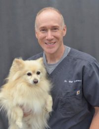 Dr. Mark Lehnert