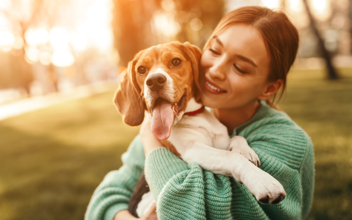 Facts Every Pet Parent Should Know About Heartworms, Fleas, & Ticks