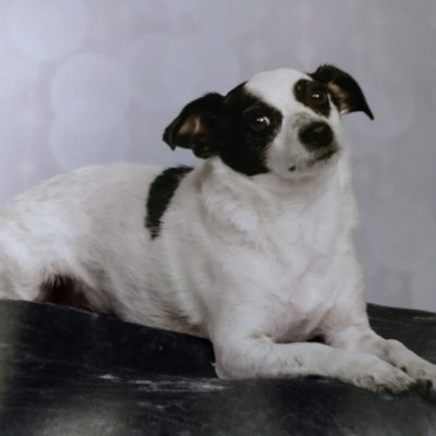 Doppler