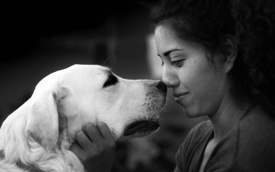 Celebrating National Veterinary Technician Week