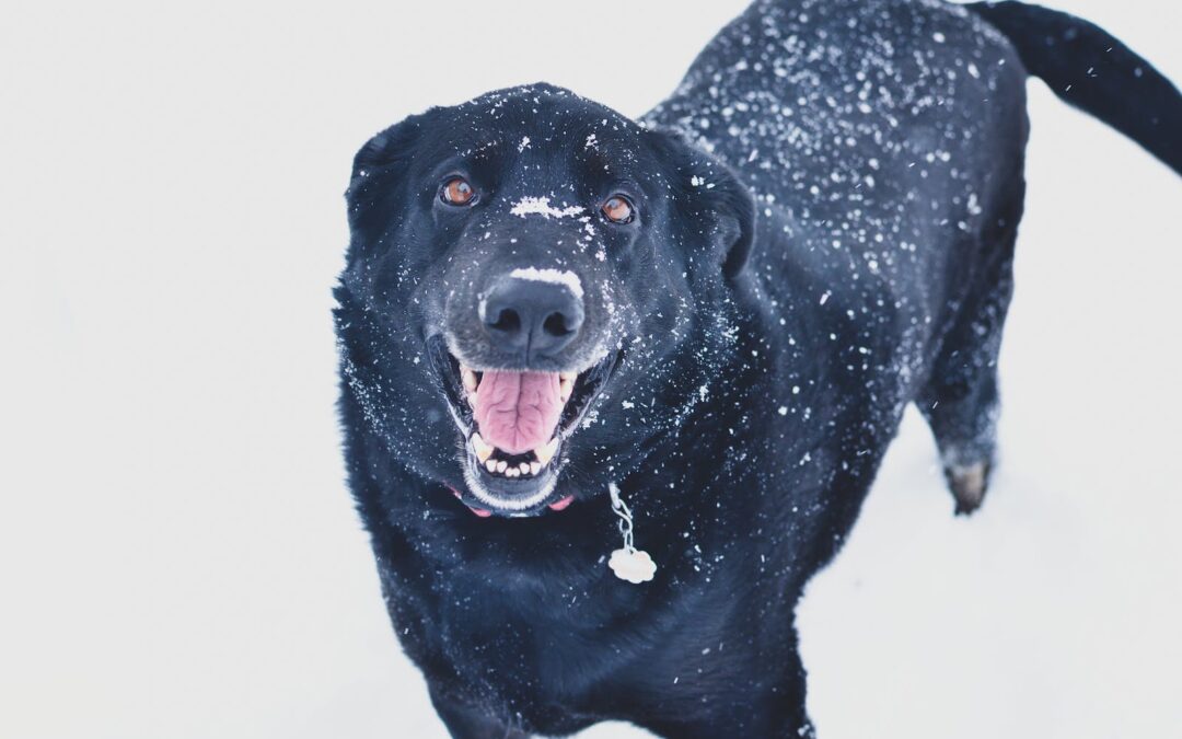 Cold Weather Safety