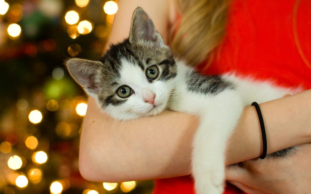 The Gift of Time With Your Pets