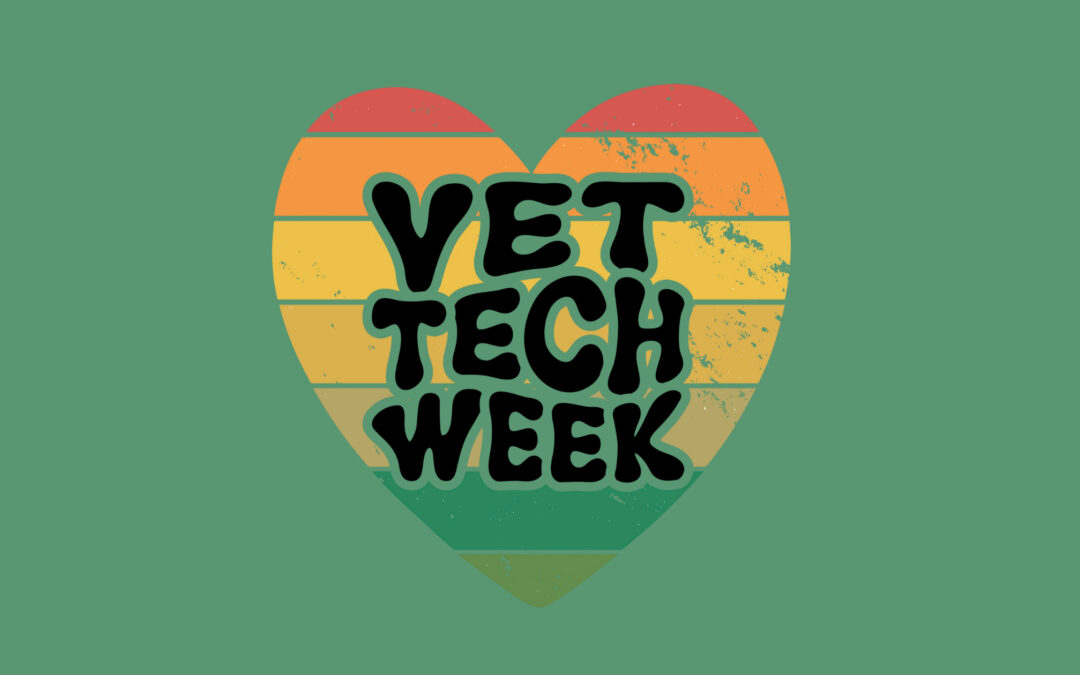 Behind the Scenes: Celebrating the Heroes of Vet Tech Week